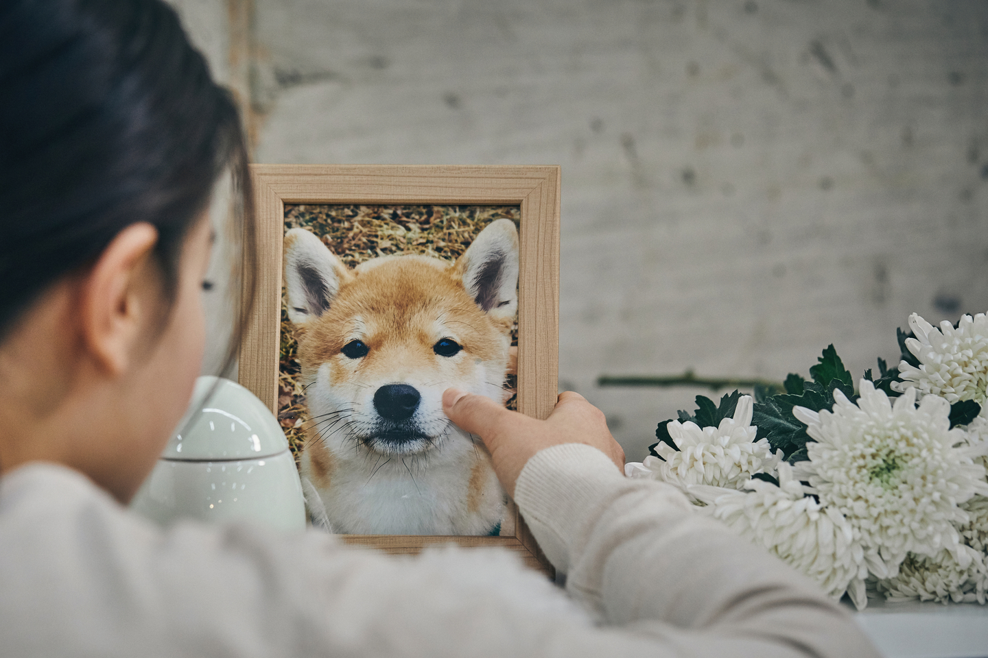 Korean pet owners suffer profound grief over dead companions. But does society recognize their loss? episode artwork