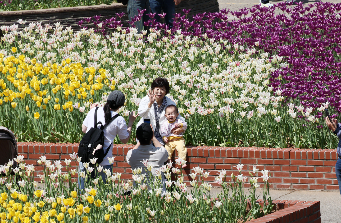 The arrival of spring brings 'Family Month' into full bloom. Here's where to go. episode artwork