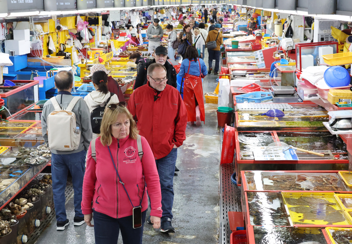 Busan's markets: Where refugees once gathered, tourists now roam episode artwork